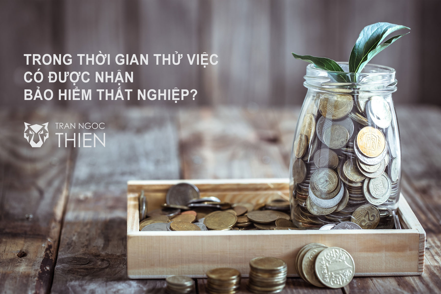 Trong thời gian thử việc có được nhận bảo hiểm thất nghiệp?
